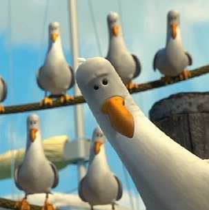 finding_nemo_seagulls_sydney_harbou.jpg