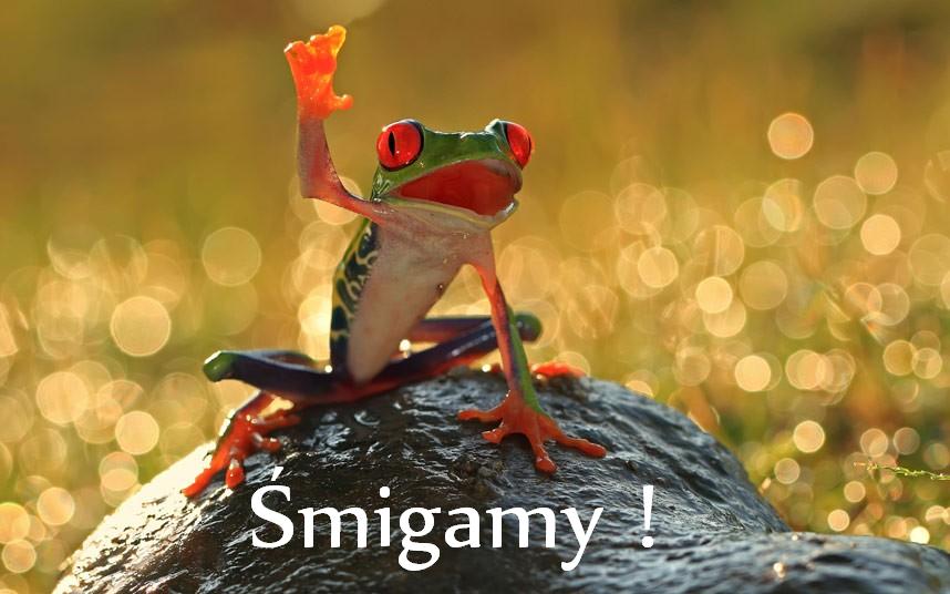 smigamy.JPG