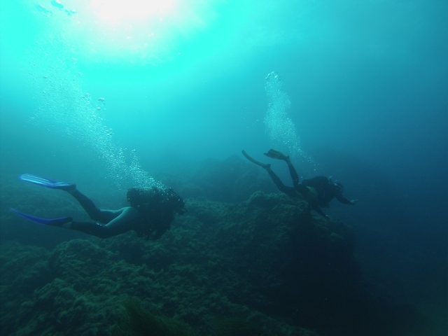 dive3.jpg