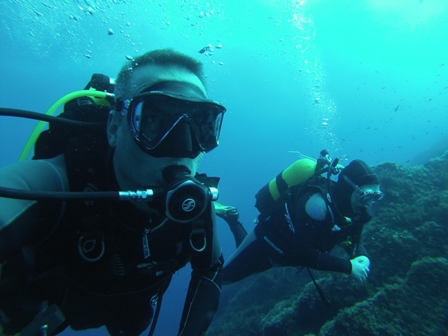 dive2.jpg