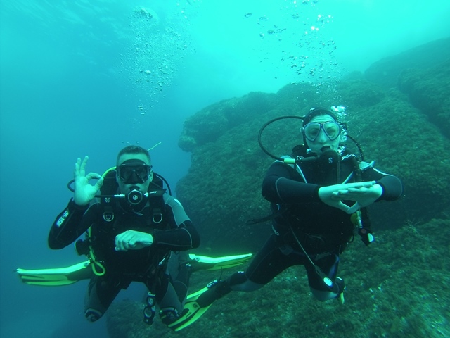 dive1.jpg