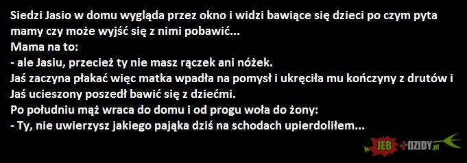 pająk.jpg