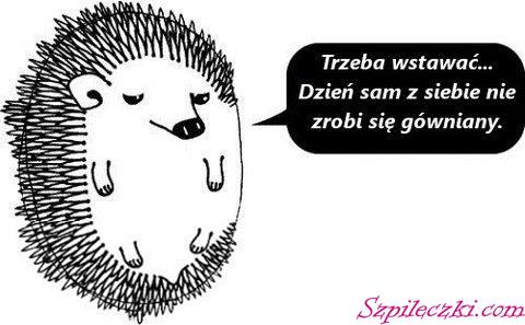 dzień.jpg